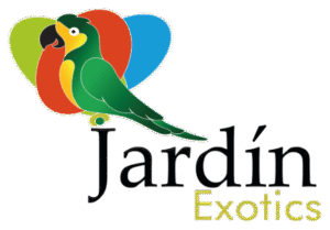 Logo Jardín Exotics, cliente de Xsense