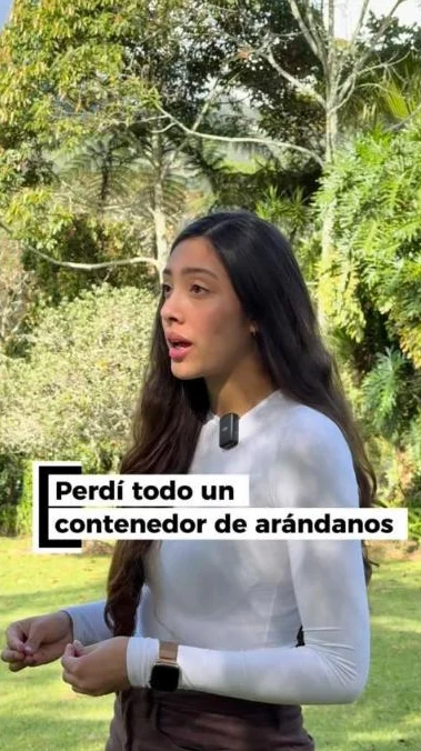 Un contenedor de arándanos