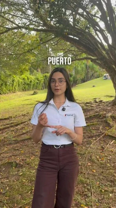¿Contenedor o producto?